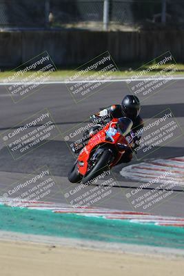 media/Mar-17-2024-Fastrack Riders (Sun) [[c7d6f8c14c]]/Level 2/Turn 6/